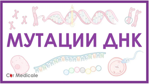 Мутации ДНК - генные, хромосомные, геномные ｜ делеция, транслокация, инверсия - кратко
