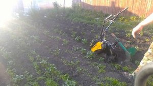 Прополка + окучивание картофеля мотоблоком