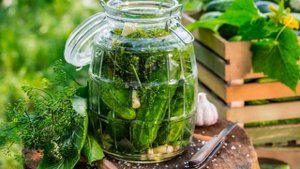 Производство консервированных продуктов как бизнес идея