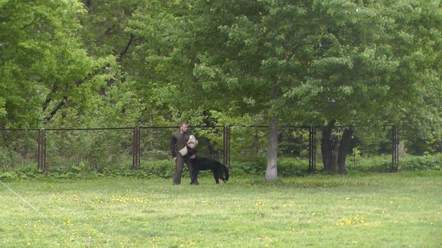 Чемпионат НКП ВЕО 2014 смотреть онлайн