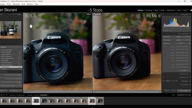 Canon R6 Mark II Vs Canon EOS R - In Depth PHOTOGRAPHY Comparison