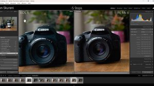 Canon R6 Mark II vs Canon EOS R - In depth PHOTOGRAPHY Comparison