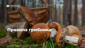 Правила грибника
