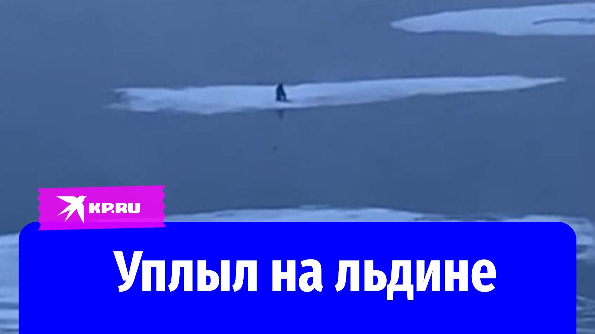 В Красноярске мужчину унесло на льдине по Енисею