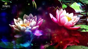 Целебная музыка для сна тела и души.