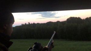 Охота на кабана с вышки. Стадо Вышло по светлому.