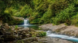 Tony Anderson. Ariane