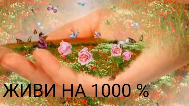 Ошо Живи на 1000 % смотреть онлайн