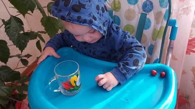ІГРИ НА РОЗВИТОК ДРІБНОЇ МОТОРИКИ У ДІТЕЙ 1 РОКУ.