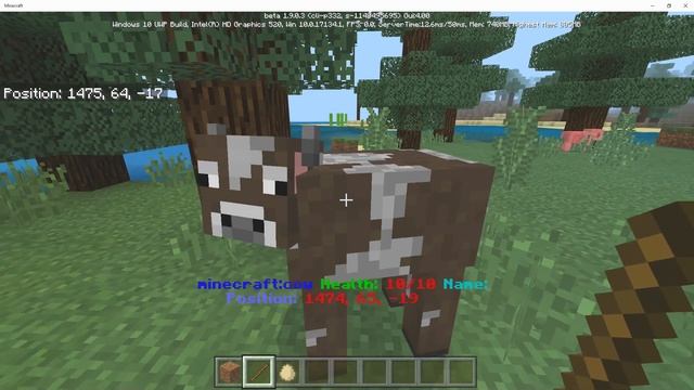 Minecraft Bedrock: Damage Indicators Addon смотреть онлайн