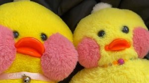 ИМЯ ДЛЯ НОВОЙ УТОЧКИ ЛАЛАФАНФАН которую СШИЛА СВОИМИ РУКАМИ + ПРИВЕТЫ ПОДПИСЧИКАМ Влог с lalafanfan