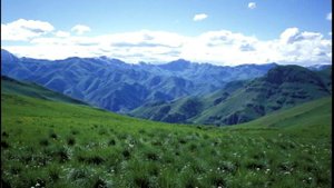 Zurna Зурна Azeri Mehmani Terekeme Shalaxo