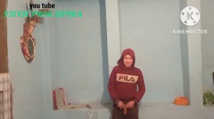 печи для дома.отопительно варочные печи.