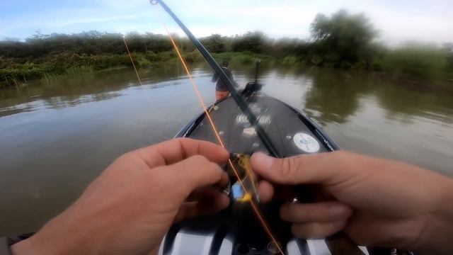 Fly Fishing for White Bass | Catching Fish Every Cast! смотреть онлайн