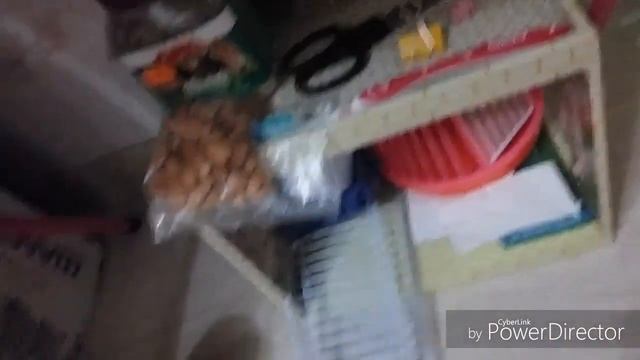 Сирийский Хомяк смотреть онлайн