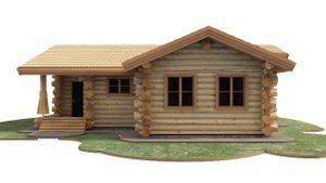 Одноэтажный сруб - дикий сруб