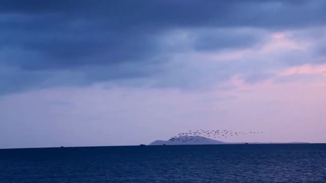 Простые способы концентрации смотреть онлайн