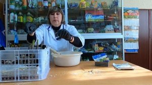 Как хранить корнеклубни георгинов зимой