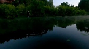 Рыбалка у дома!Вечерне-утренний клёв)