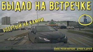 Быдло на встречке #146! Подборка на видеорегистратор!