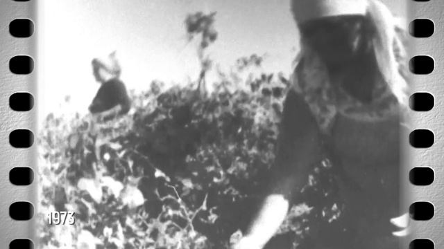 Сентябрь в 1973 году. Проект Сергея Минчика «ЭПОХА». Вып. № 28 смотреть онлайн