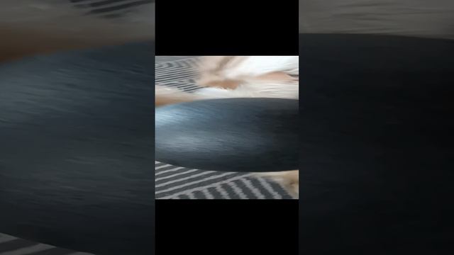 До чего игрив