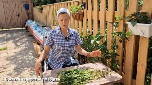 ЧТО БЫ ПЕЧЕНЬ БЫЛА ЗДОРОВА ДОБАВЛЯЙ В ЧАЙ РЕПЕШОК @natureMarusya