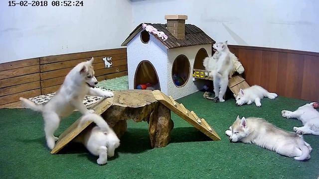 Разноцветная ваниль смотреть онлайн