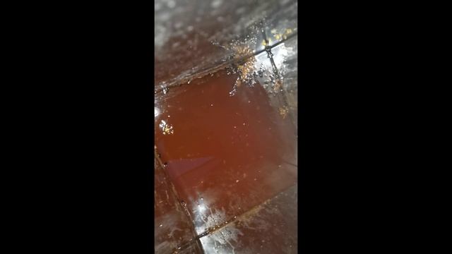 Перетопка забруса или сколько я терял меда отдавая забрус на осушку пчелам