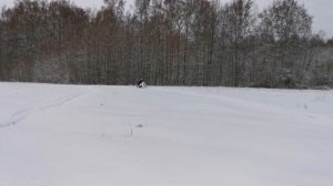 Сезон 2020 2021 Равнинные покатушки BRP SKI DOO SummitBurton 800 E-Tec.