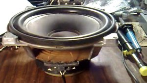 динамик для сабвуфера