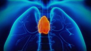 Обрабатываем частотами Тимус - омолаживаем организм.