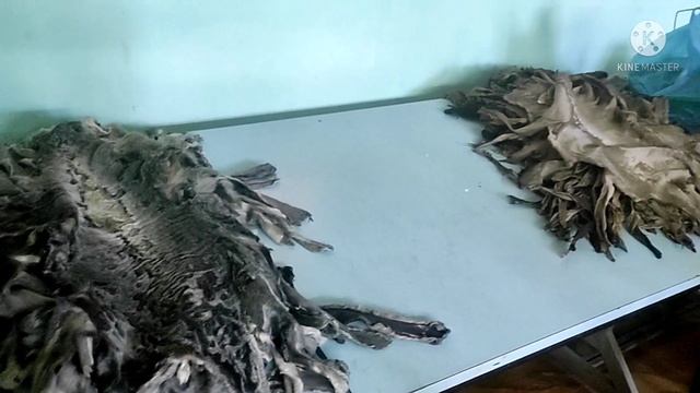 Каракуль. Бухарский каракуль! смотреть онлайн