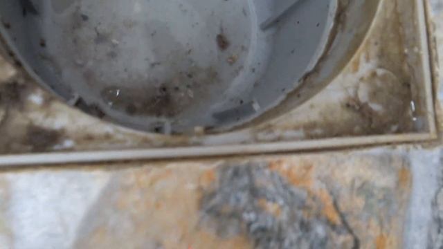 Как почистить душевой трап! Прочистка трапа в душе легко! How to clean the ladder смотреть онлайн