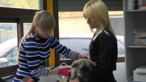 Как моряк: в Волгограде псу с необычным именем ищут дом