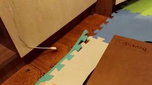 Школа Басиков. Басики исправляют оценки