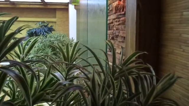 Аква Нара Фантан стеклянный декоративный водопад по стеклу для дома и для ресторана и офиса смотреть онлайн