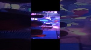 концерт 24.02.2023