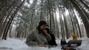 Ходовая охота с Дратхааром. Охота на косулю