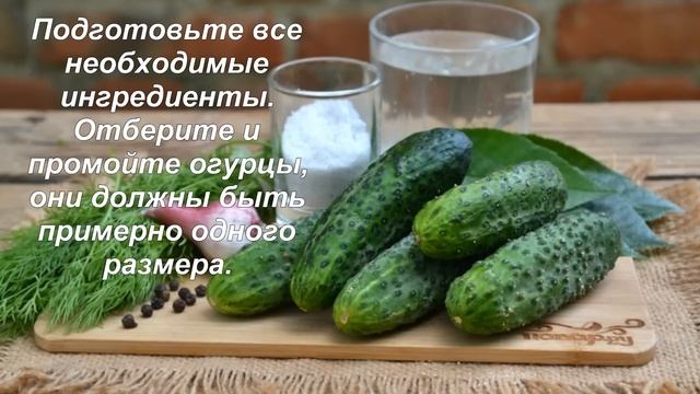Огурцы на зиму без закатки рецепт смотреть онлайн