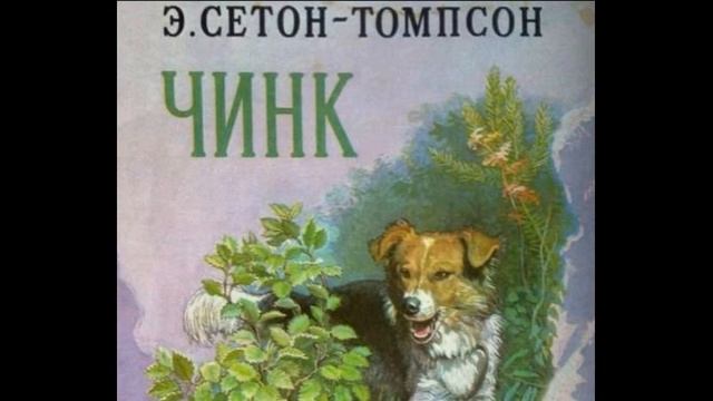 Томпсон чинк. Чинк Сетон-Томпсон. Чинк Эрнест Сетон. Иллюстрации к рассказу Сетон Томпсона Чинк. Сетон Томпсон Чинк Советская книжка.