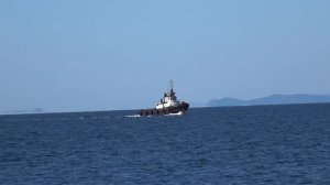 Владивосток с высоты птичьего полёта.