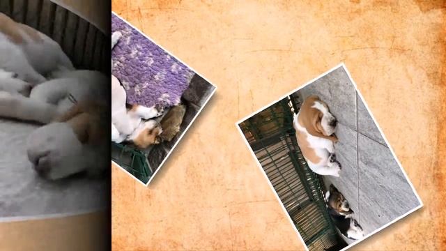 Проект сон смотреть онлайн