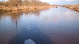 Рыбалка троллингом на щуку. Щука есть и в канавах.Ловля на дорожку.