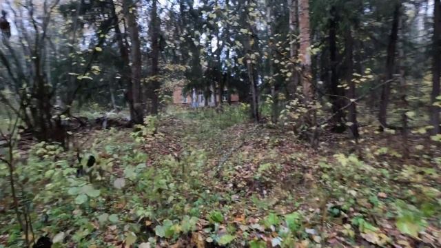 Заброшенный Детский Лагерь в деревне Нестерово "Василёк"
