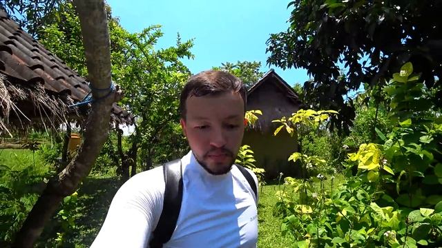 Бали кофе. Едем на кофейную плантацию Бали!
