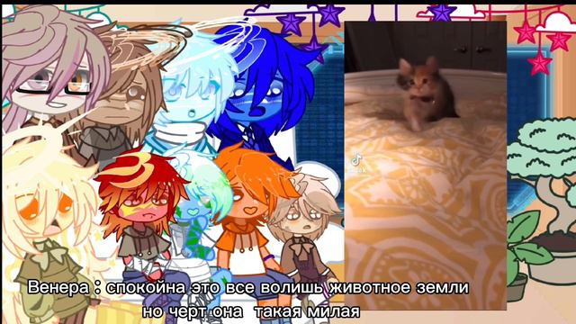 🪐 реакция Шаранутого космоса на ТТ 🪐 смотреть онлайн