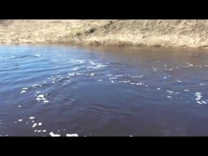 Весна на малой реке