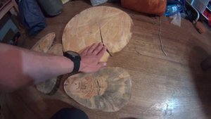 Трещины на спилах кедра и не только