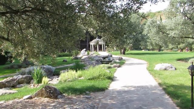 Парк Айвазовского в Партените. Оливковые деревья. смотреть онлайн